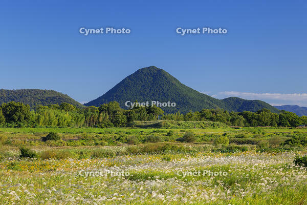 秋の近江富士・三上山と青空 [SNO110019464]