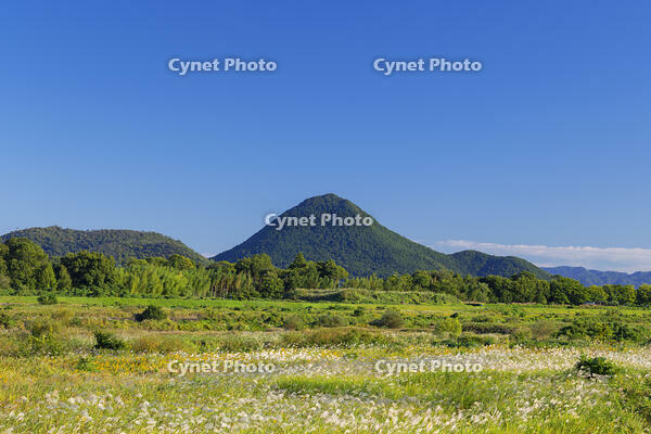 秋の近江富士・三上山と青空 [SNO110019465]