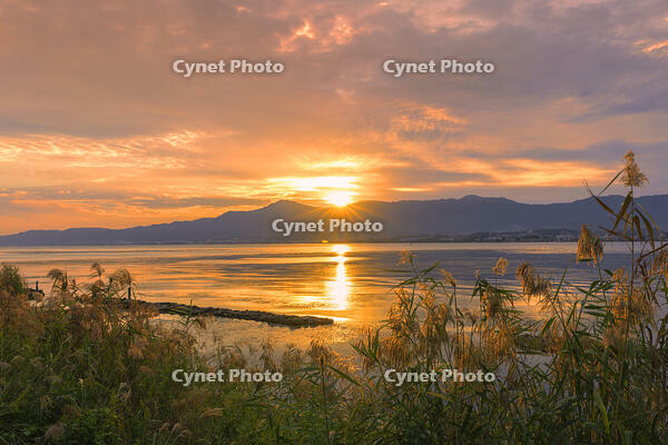 琵琶湖と比叡山の夕日 [SNO110019472]