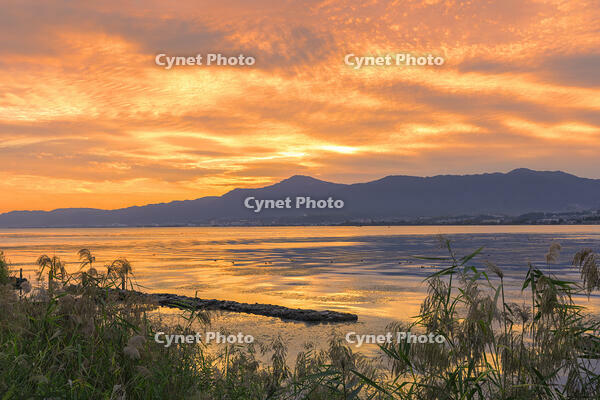琵琶湖と比叡山の夕景 [SNO110019473]