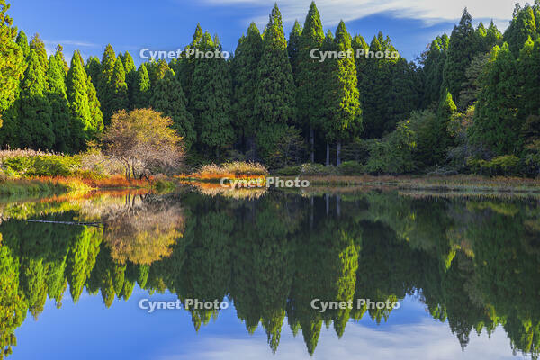 秋の平池のリフレクション [SNO110019474]