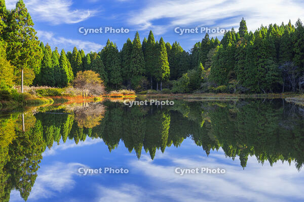 秋の平池のリフレクション [SNO110019477]