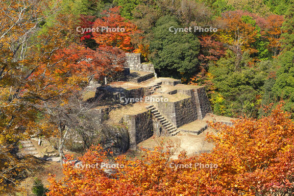 秋の苗木城跡の大矢倉跡 [SNO110019485]