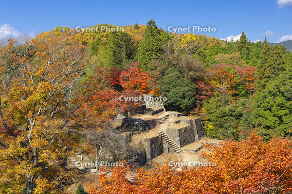 秋の苗木城跡の大矢倉跡 [SNO110019486]