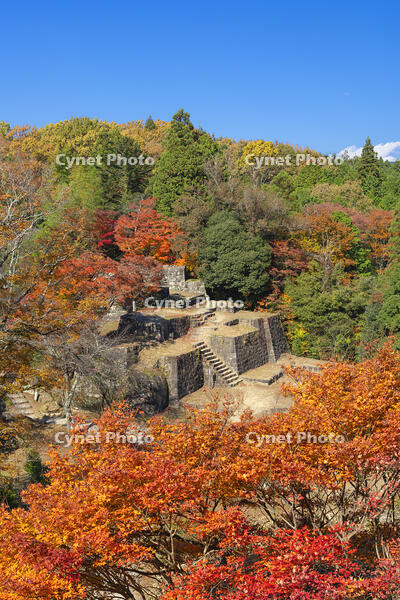 秋の苗木城跡の大矢倉跡 [SNO110019487]