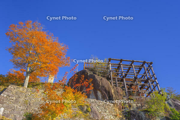 秋の苗木城跡本丸と天守台 [SNO110019493]