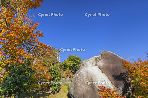 秋の苗木城本丸跡の馬洗石 [SNO110019494]