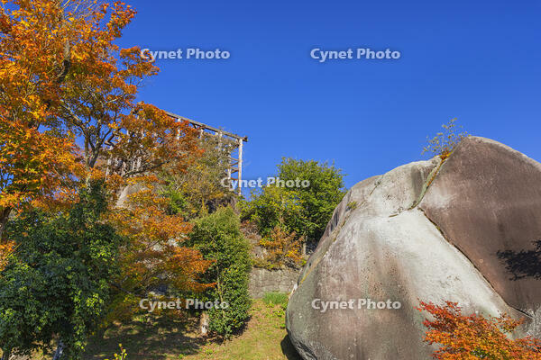 秋の苗木城本丸跡の馬洗石 [SNO110019496]