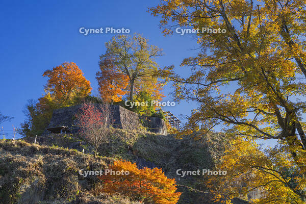 秋の苗木城跡本丸と天守台 [SNO110019498]