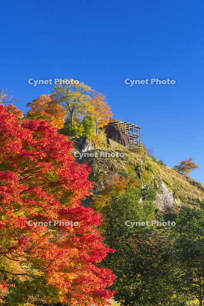 秋の苗木城跡本丸と天守台 [SNO110019503]