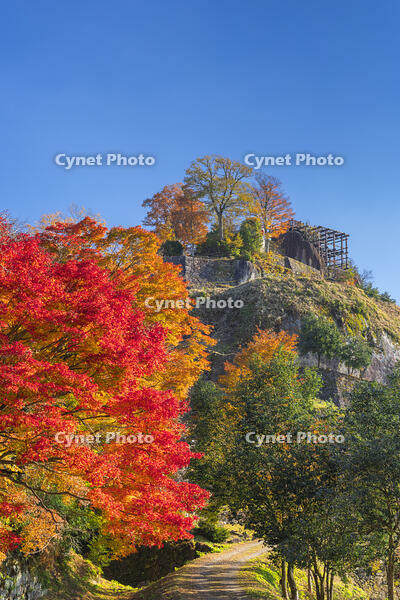 秋の苗木城跡本丸と天守台 [SNO110019505]