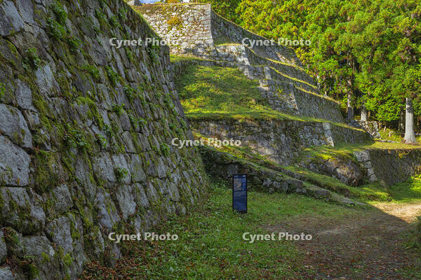 紅葉の岩村城跡 [SNO110019508]