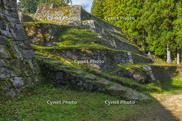 紅葉の岩村城跡 [SNO110019509]