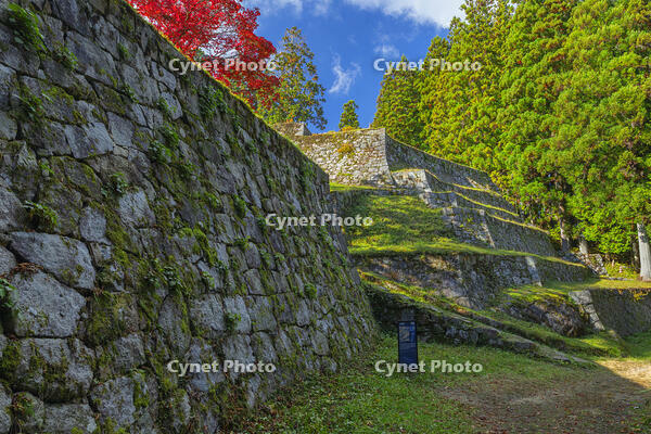 紅葉の岩村城跡 [SNO110019510]