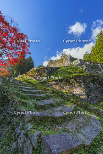 紅葉の岩村城跡 [SNO110019514]