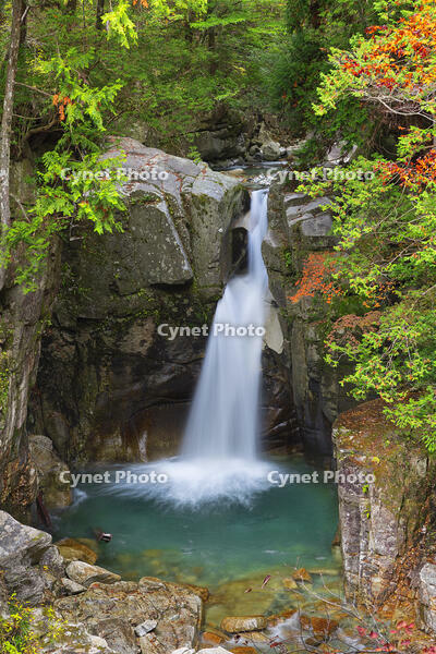 紅葉の竜神の滝 [SNO110019518]