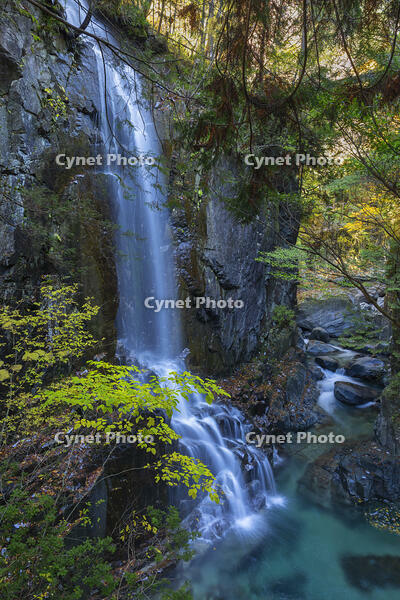 付知峡 観音滝 [SNO110019527]