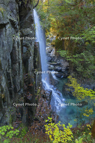 付知峡 観音滝 [SNO110019528]