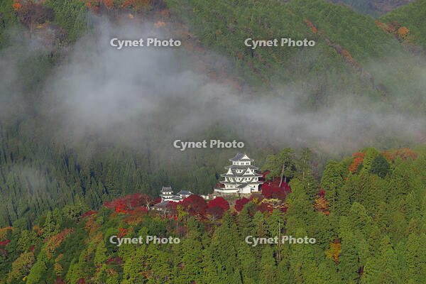 雲海漂う紅葉の郡上八幡城 [SNO110019532]