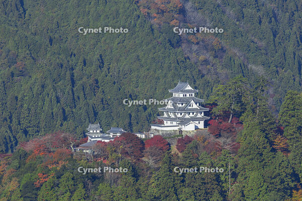 紅葉の郡上八幡城 [SNO110019538]