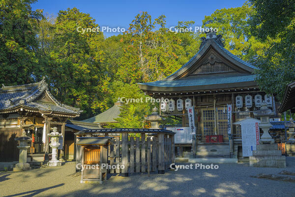 御猟野乃杜・加茂神社 [SNO110019552]