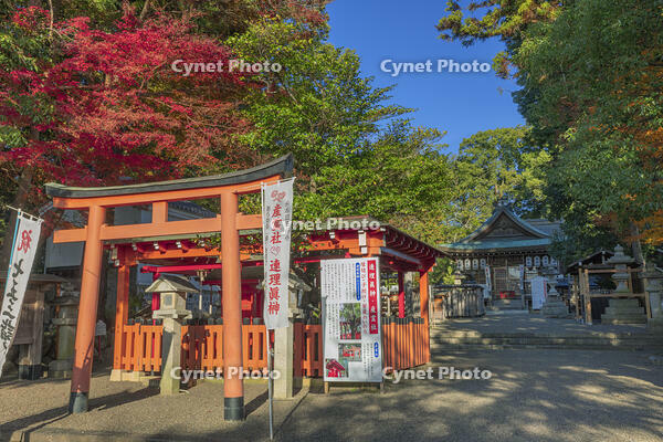 御猟野乃杜・加茂神社 [SNO110019553]
