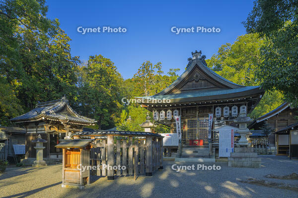 御猟野乃杜・加茂神社 [SNO110019554]