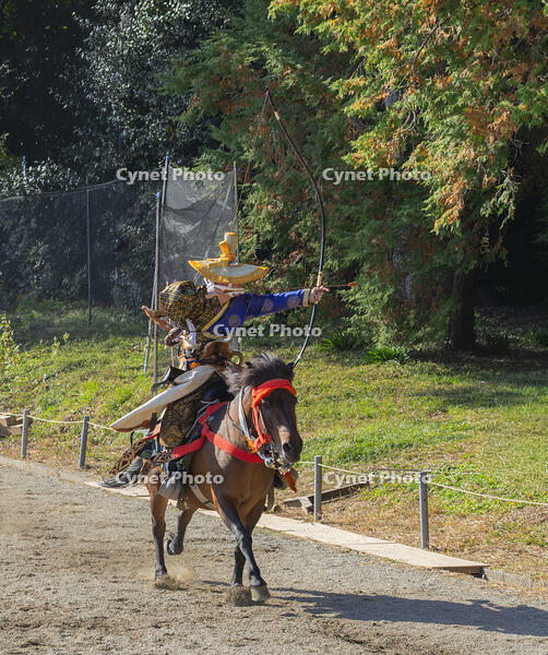 馬上武芸奉納祭・流鏑馬 [SNO110019557]