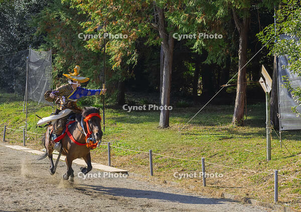 馬上武芸奉納祭・流鏑馬 [SNO110019559]