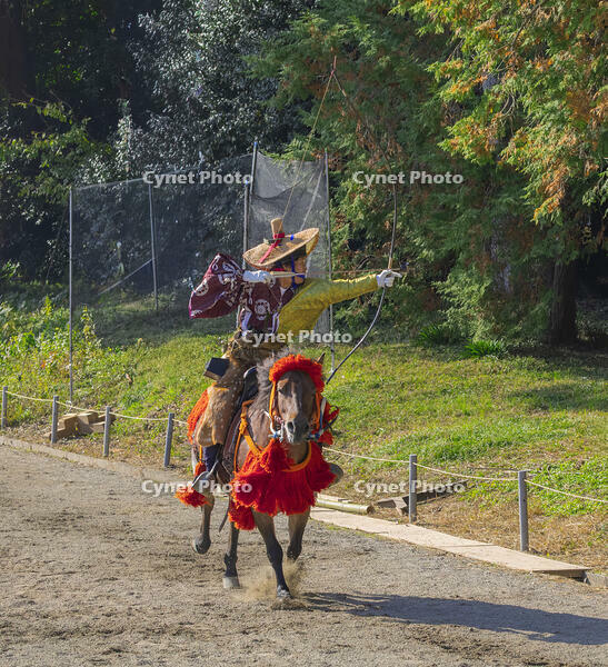 馬上武芸奉納祭・流鏑馬 [SNO110019560]