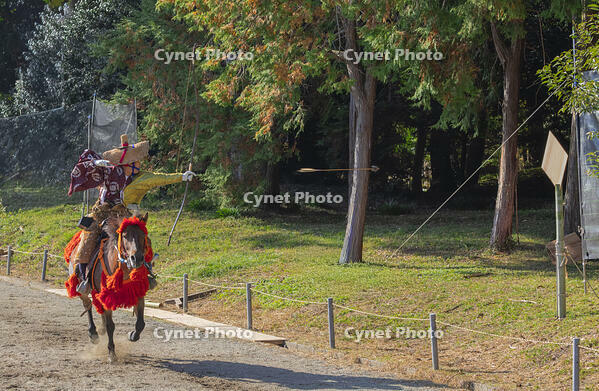 馬上武芸奉納祭・流鏑馬 [SNO110019561]