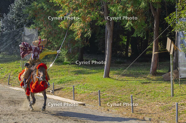 馬上武芸奉納祭・流鏑馬 [SNO110019562]