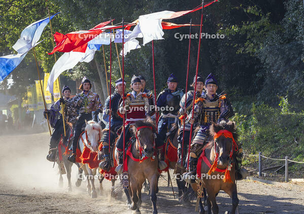 馬上武芸奉納祭・流し旗（ながしばた） [SNO110019563]