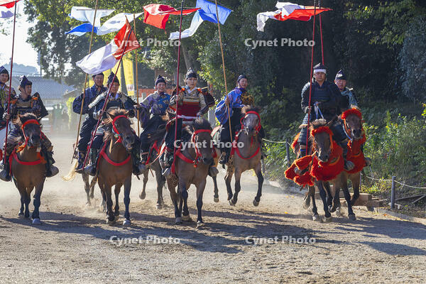馬上武芸奉納祭・流し旗（ながしばた） [SNO110019564]