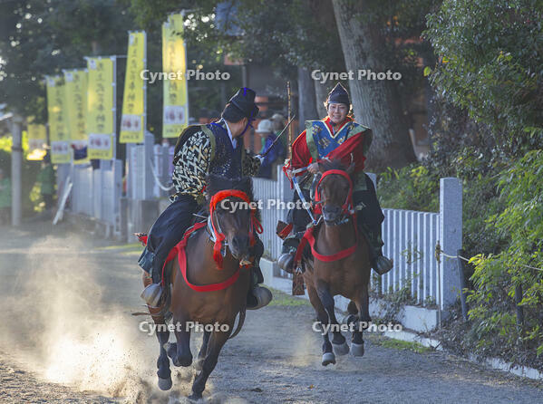 馬上武芸奉納祭・古式競馬　競べ馬（くらべうま） [SNO110019565]