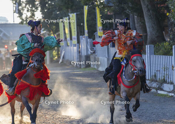 馬上武芸奉納祭・古式競馬　競べ馬（くらべうま） [SNO110019566]