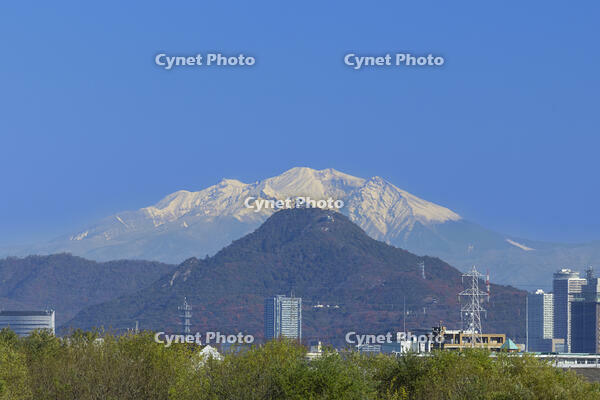 岐阜城と雪の御嶽山と岐阜県庁 [SNO110019585]