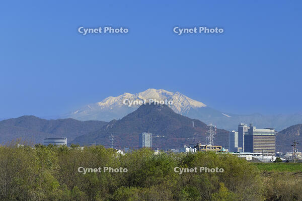 岐阜城と雪の御嶽山と岐阜県庁 [SNO110019586]
