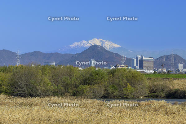 岐阜城と雪の御嶽山と岐阜県庁 [SNO110019587]