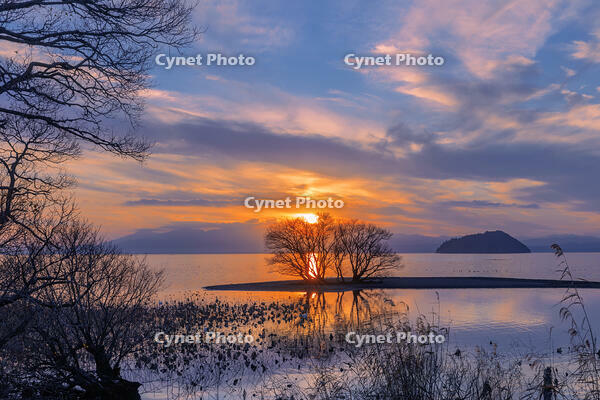 琵琶湖の夕日と竹生島 [SNO110019591]