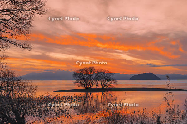 琵琶湖の夕景と竹生島 [SNO110019593]