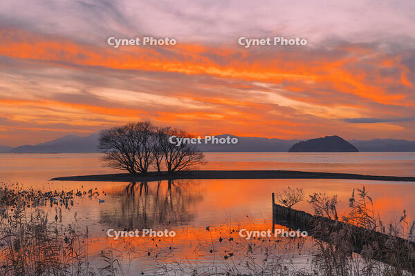 琵琶湖の夕景と竹生島 [SNO110019594]