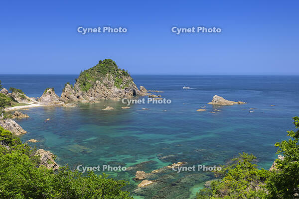 浦富海岸　菜種五島 [SNO110020005]