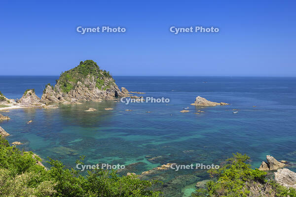 浦富海岸　菜種五島 [SNO110020008]
