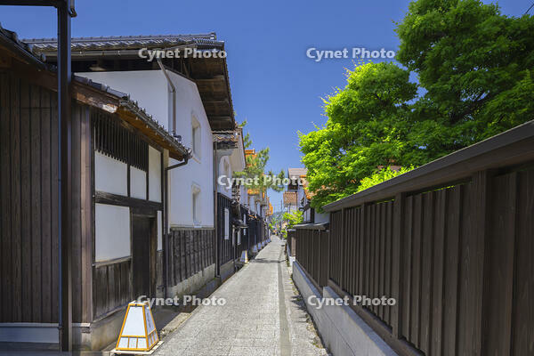 若桜町の裏町通り・蔵通り [SNO110020043]
