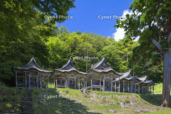 赤神神社五社堂 [SNO110020368]
