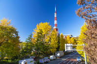 秋の紅葉と東京タワー [SKE110001351]