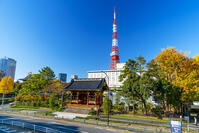秋の紅葉と東京タワー [SKE110001412]