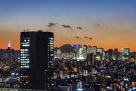 新宿の夜景と富士山 [SKE110001449]