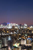 新宿の夜景と富士山 [SKE110001460]